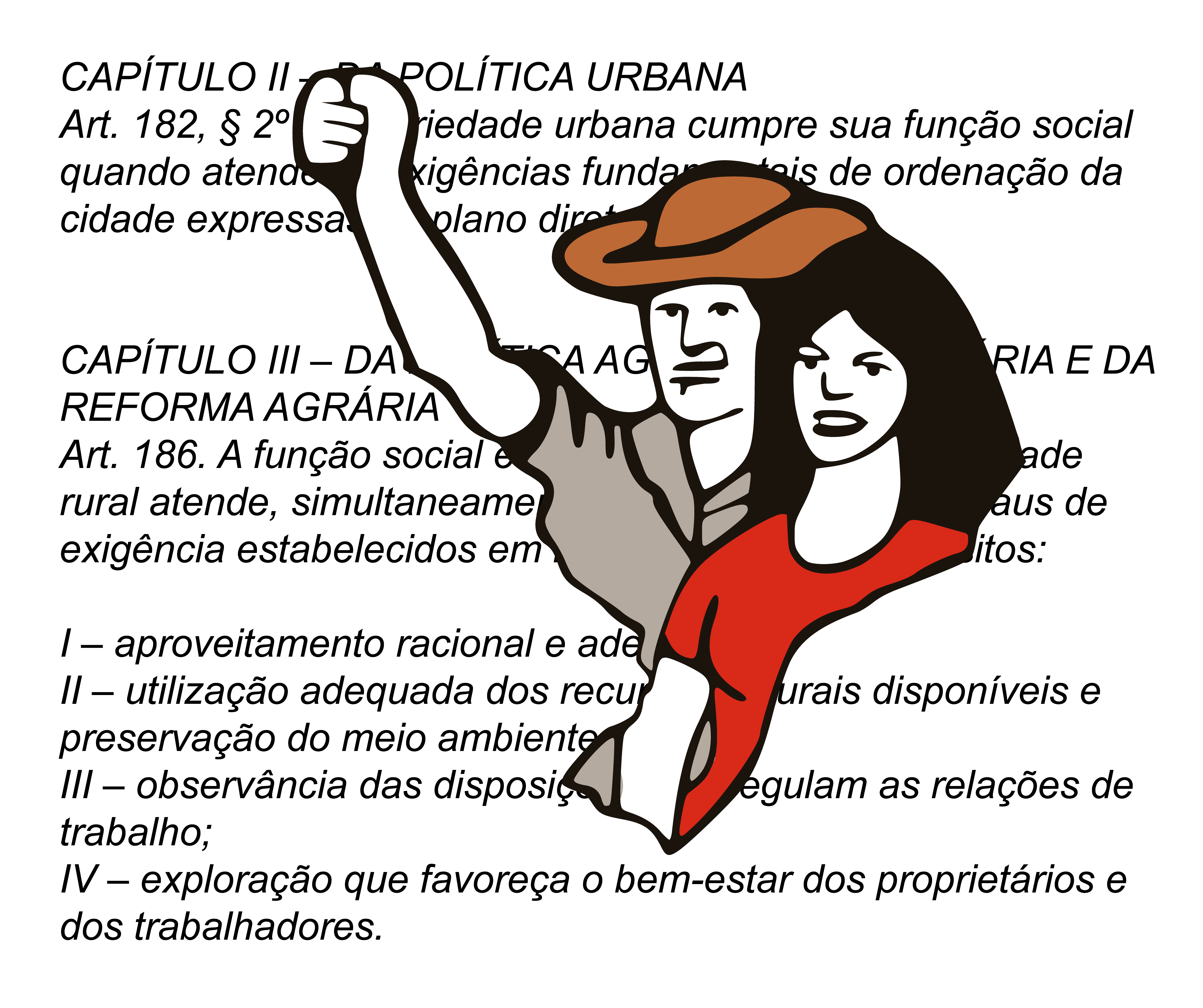 O MST e a função social da propriedade na prática